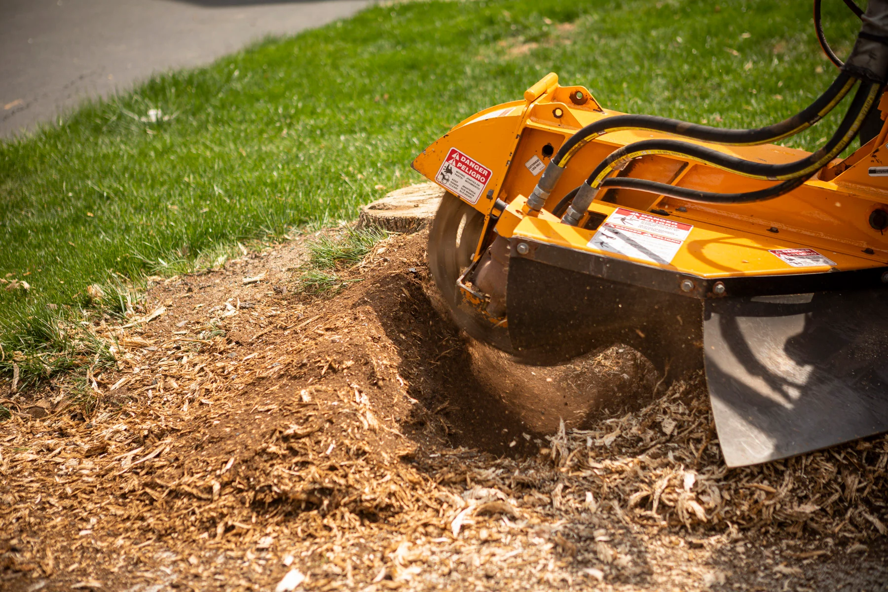 Transform Your Yard with Reliable Stump Grinding Services Nearby