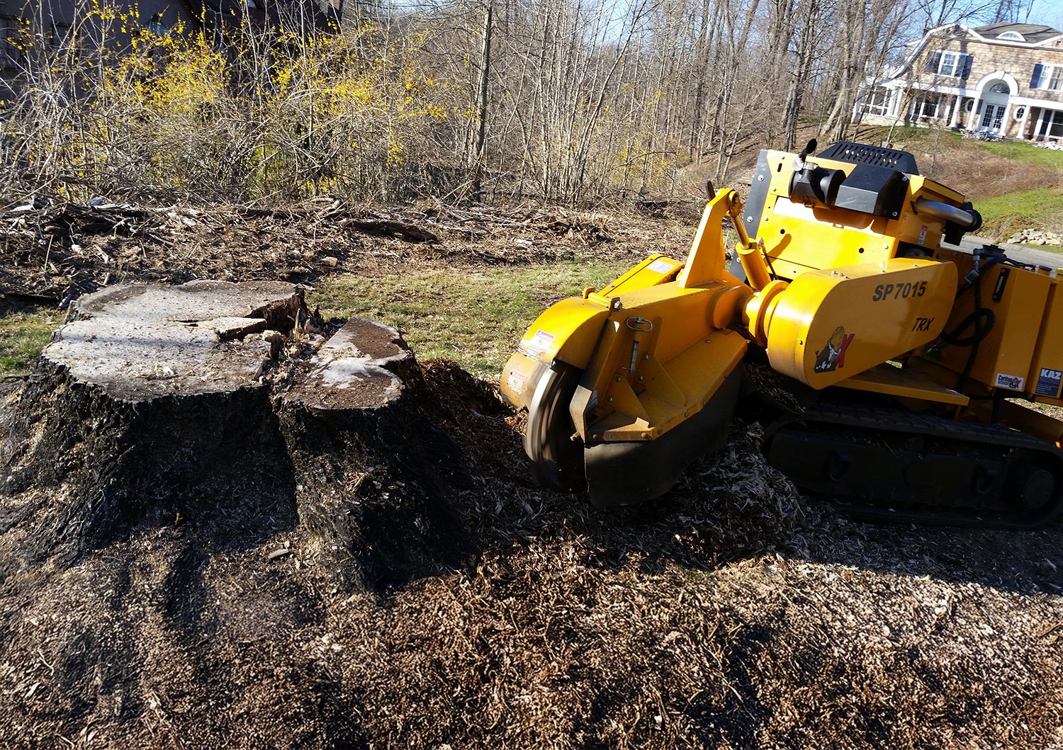 Stump Grinding Manchester